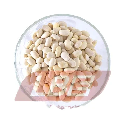 
White Kidney Beans Dried Export From Thailand 