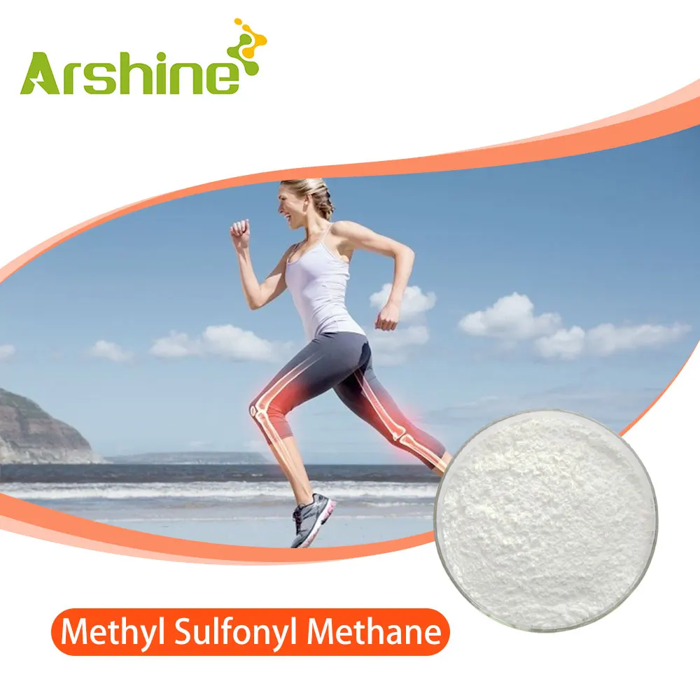 Pharmaceutical Grade Nutritional Supplements Methyl Sulfonyl Methane 60-80 Mesh Powder MSM