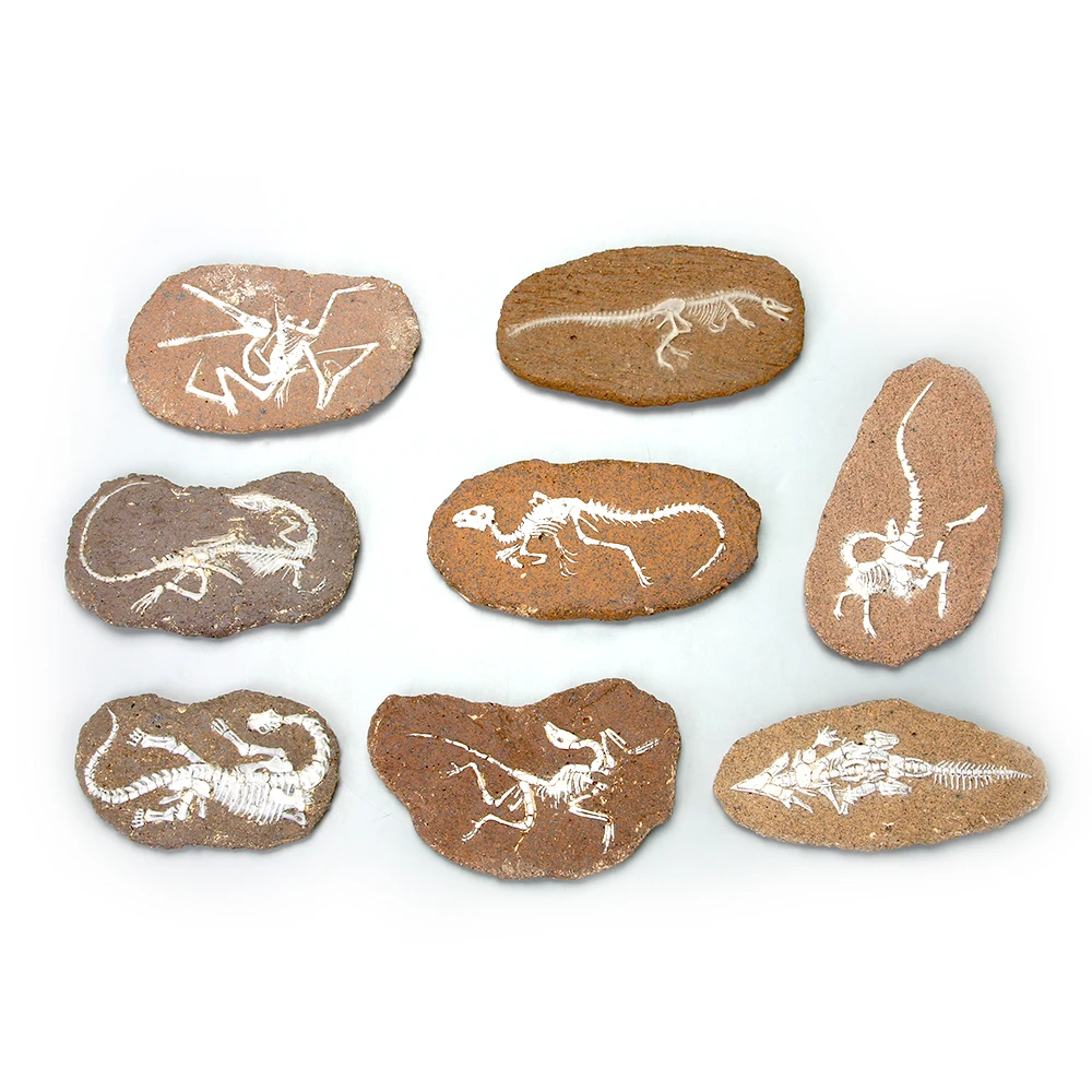 PianoPotato OEM ODM Distributors Educational Block Toys Kids Gold Excavation Kit 12pcs Per Display Dig It Out Oec Toys For Boys And Girls