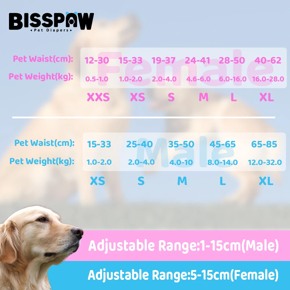 Pet Diaper M Size Disposable Dog Diaper Physiological Female Dog Nappy Technology Good Price Pet Diaper Dog Training Pee