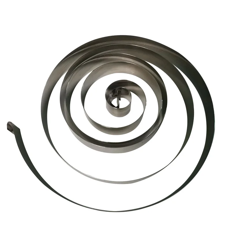 Jumping Toy Scroll Spring Telescopic Flat Coil Spring Stainless Steel Extension Coil Spring