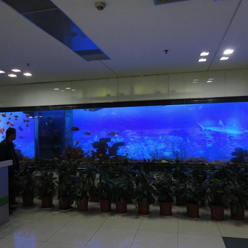 Goods in stock large sea water acrylic display case betta fish aquarium container