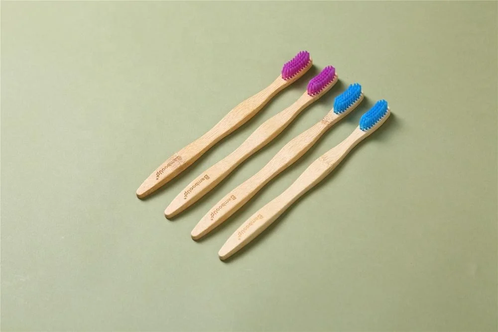 Wholesale BPA free  eco friendly organic toothbrush with fsc certificate