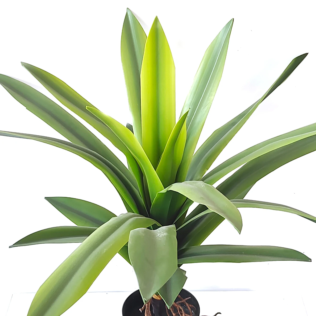 Premium Real Touch Autumn Colors Artificial Potted Leaf Plants Gladiolus Greenery Decoration Living Room In Pot for Home