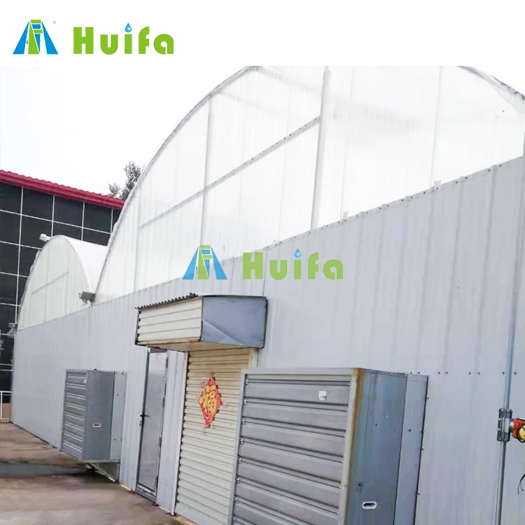 Industrial Greenhouse Hydroponic Greenhouse Tunnel Multi Span Blackout Greenhouse