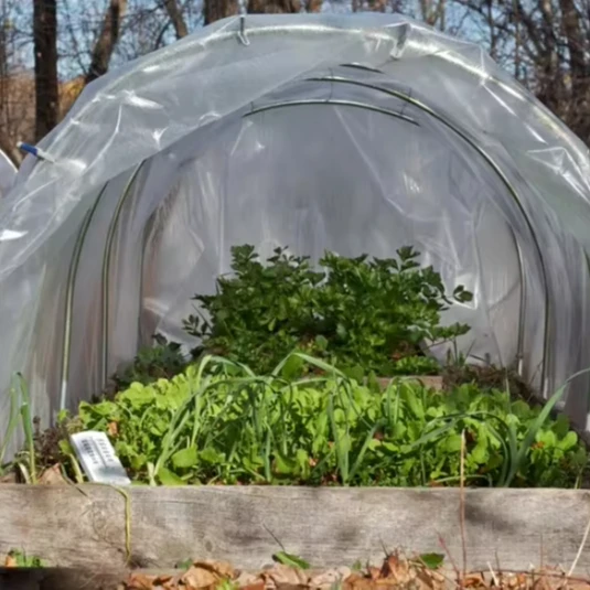 Vegetable planting greenhouse bracket vegetable mini greenhouse set vegetable protection rack