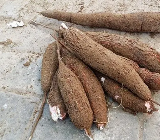  Свежая