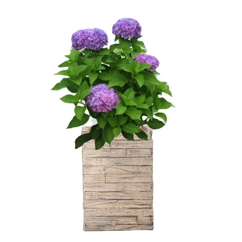 Factory New Flower Pots Wholesale Cement Big Pot Plants