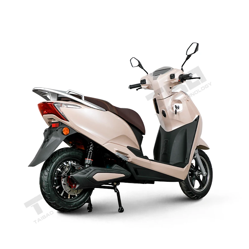 Electrica in One Bike for Adults Electric Bicycle with Super Motors for High Speed E-Bike E-Scooter