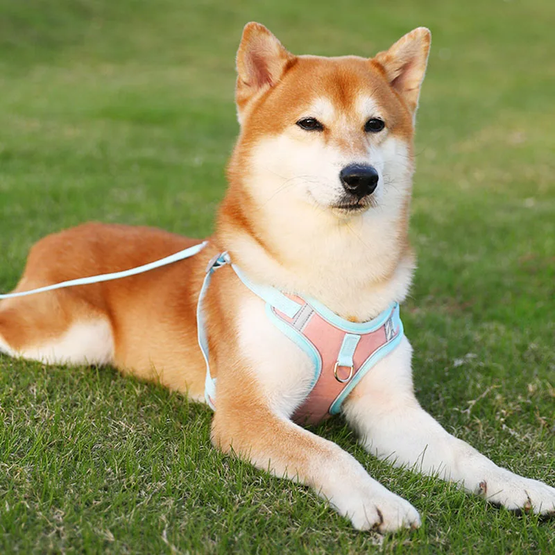 Wholesale Reflective No Pull Adjustable Pet Leash Anti-break Vest Type Chest Strap Security Pet Harness for Outdoor Walking