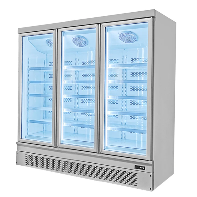 Plug In System Multipurpose Freezer Commercial Glass Door Display Refrigerator for Frozen Food