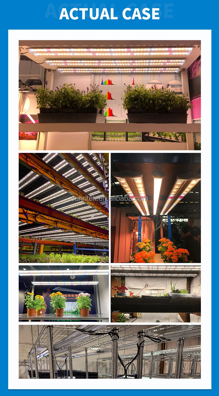 6.led grow light bar.jpg