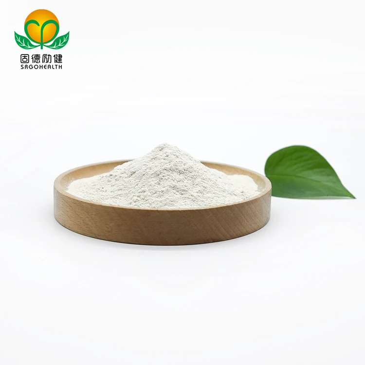 Bulk Wholesale Supply Top-quality Organic Rice Protein