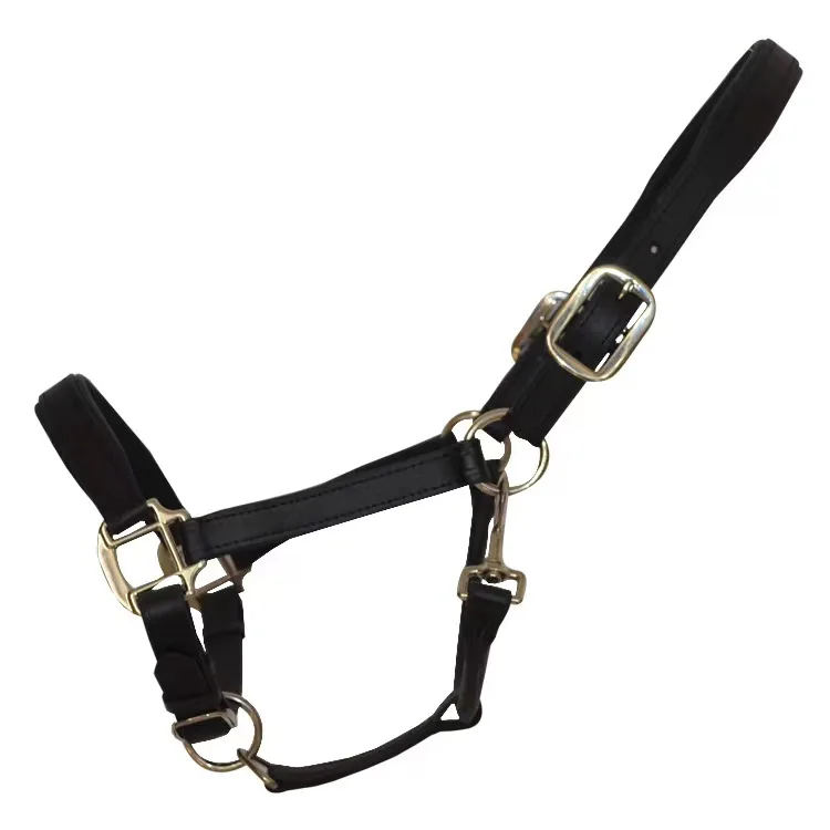 NEW ARRIVAL PVC Halter Horse Harness Riding Equipment Head Collar Leather  Bride Horse Foal Halter Rack