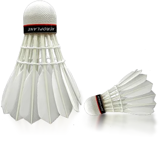 ZUOMAN 2023 NEW Aeroplane EG1130 Black Label Class A Goose Feather Badminton Shuttlecock