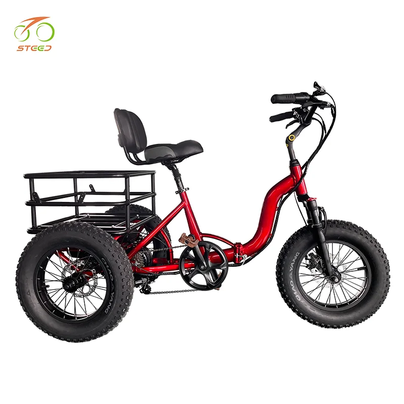 Steed central control system share bike vintage electric bicycle 3 wheel adult bicycle e-bike triangle electric bike