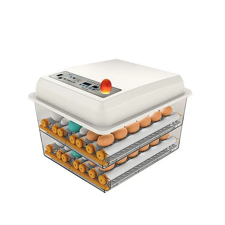 new hot selling products fish egg incubator 200 chicken egg hatching machine for sell