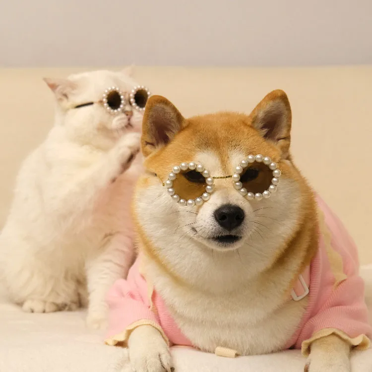 Pet Glasses Magazine Photo Cool Anti-ultraviolet Trend Elegent Accessories Cat And Dog Sunglasses with peal
