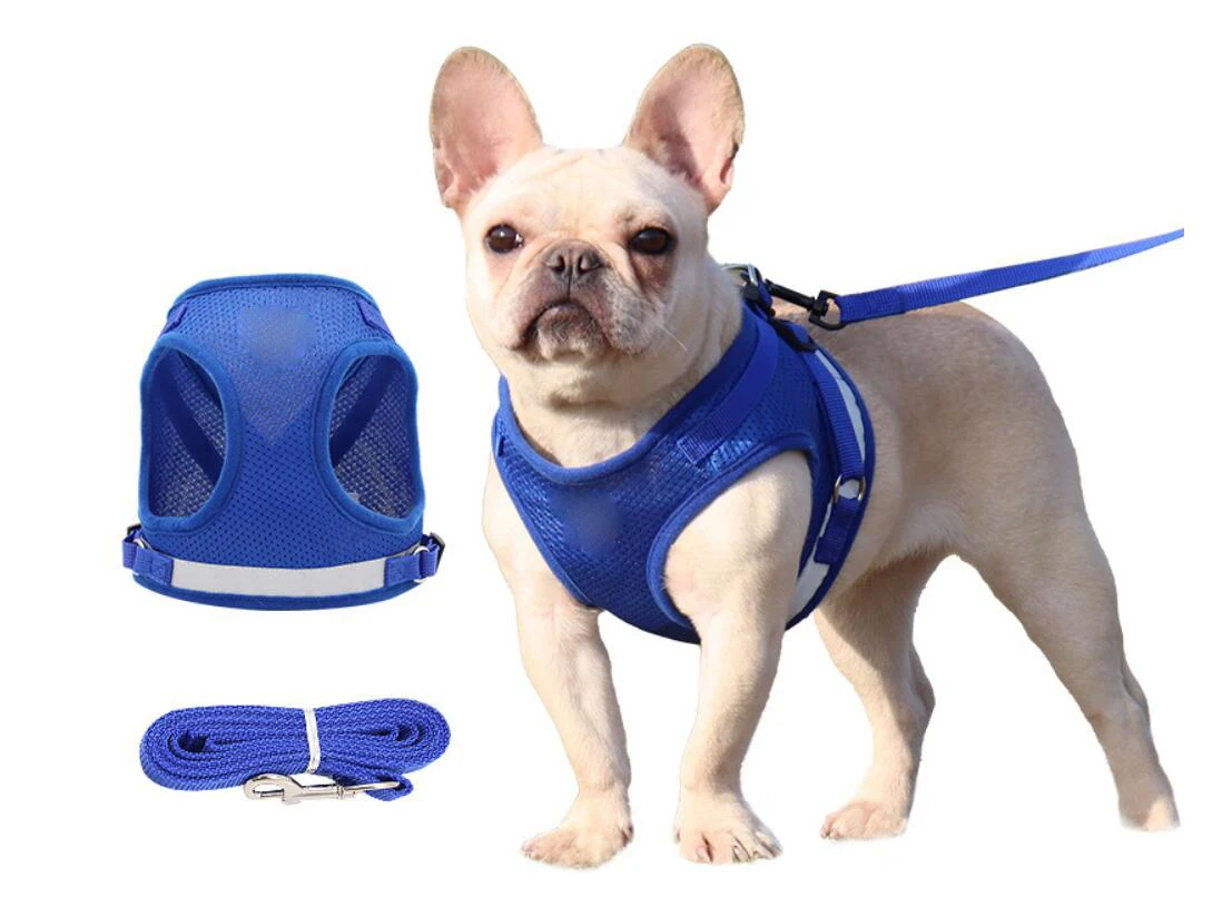 
New Product Soft Mesh Head-in Small Dog Harness with Breathable Mesh 