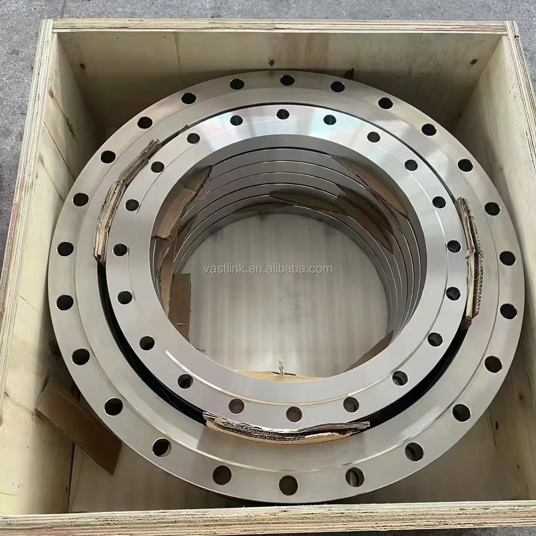 Stainless Steel Flange