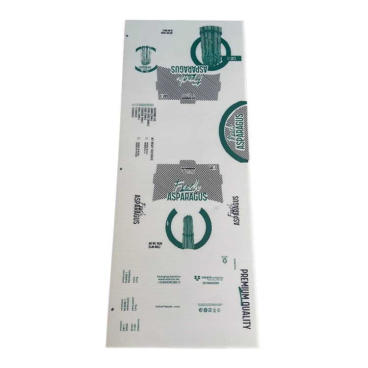 Customize Cheap Recyclable and Biodegradable Fruit and Vegetable Containers with Corrugated Polypropylene PP Hollow Sheet