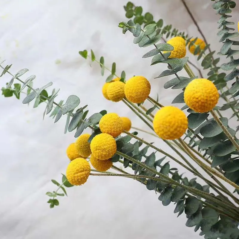 mini pampas dried flower whisk dry flower bouquet thailand