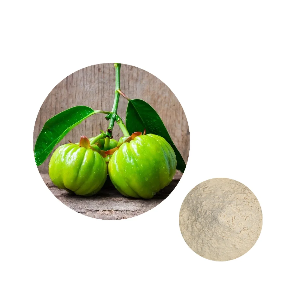 Factory Direct Supply Garcinia Cambogia Extract Powder 50%HCA Garcinia Cambogia Extract