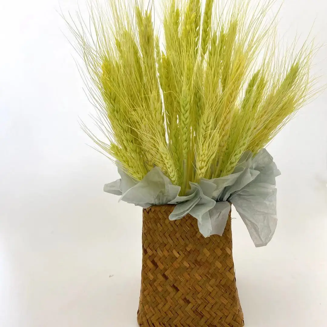 Factory Supply High Quality Dried Wheat Dried Wheat Flowers Wheat Straws