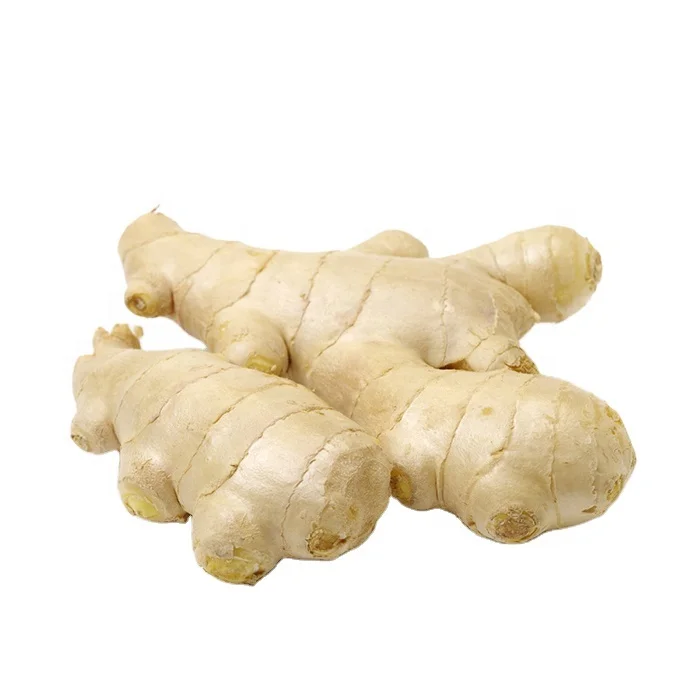 China Vegetable Exporter Organic Fresh Ginger Cheap Price Air Dried Ginger Bulk New crop for sale