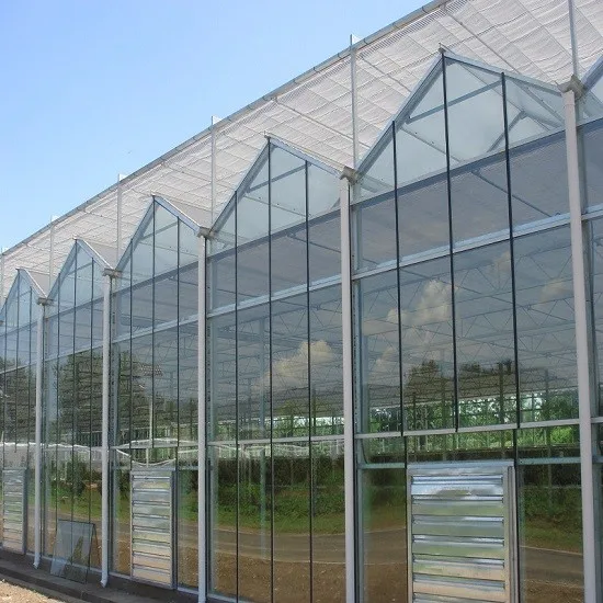 Agricultural Cultivation Hot Dip Galvanized Steel Frame Growing Multi-span Glass Greenhouse Tunnel Mushroom Greenhouse