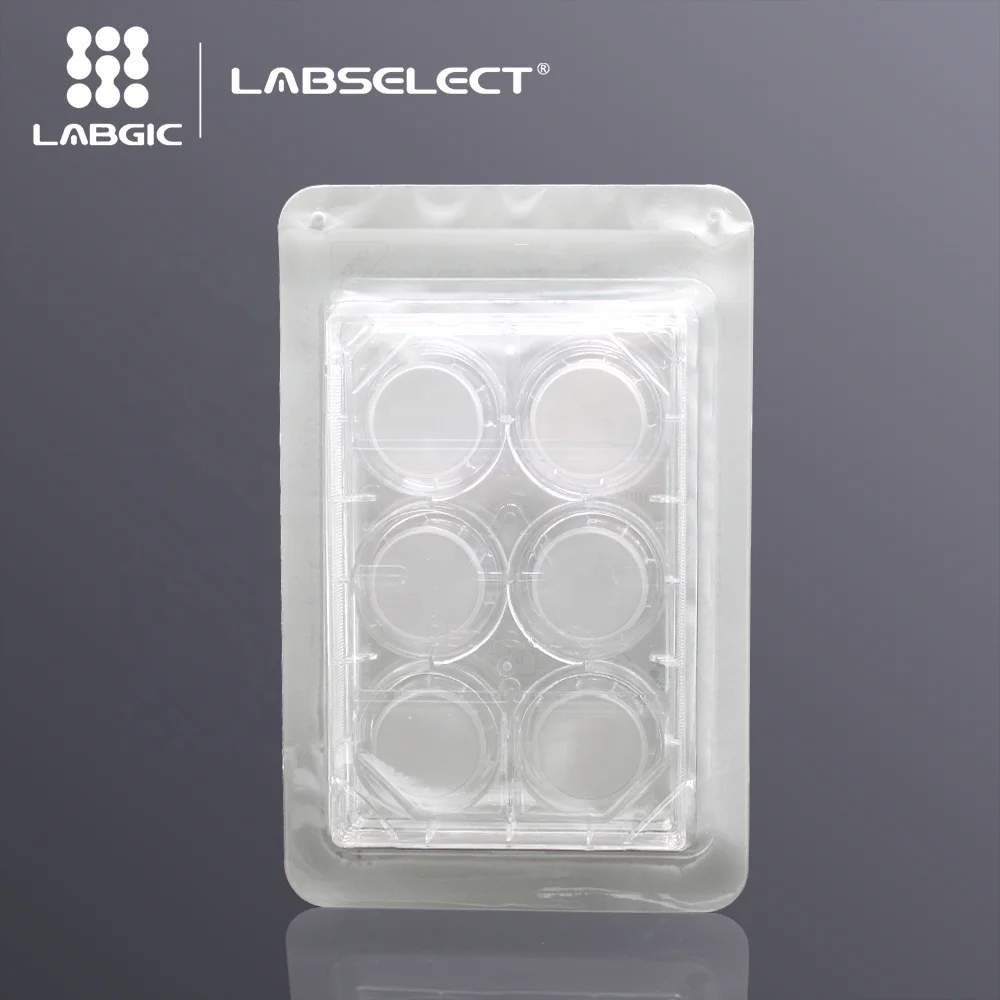Labgic cell culture Inserts in 6-well  6.6mm PC transwell polycarbonate membrane insert for cell culture low moq