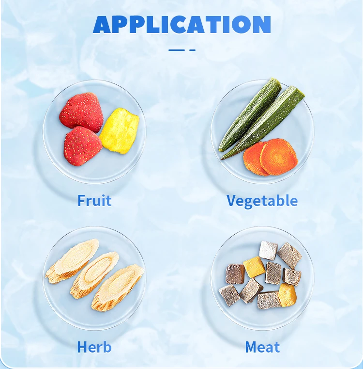 Pharmaceutical Lab Lyophilizer Freeze Dryer Chemical Food Vegetable Fruit Industrial Vacuum Freeze Drying Machine