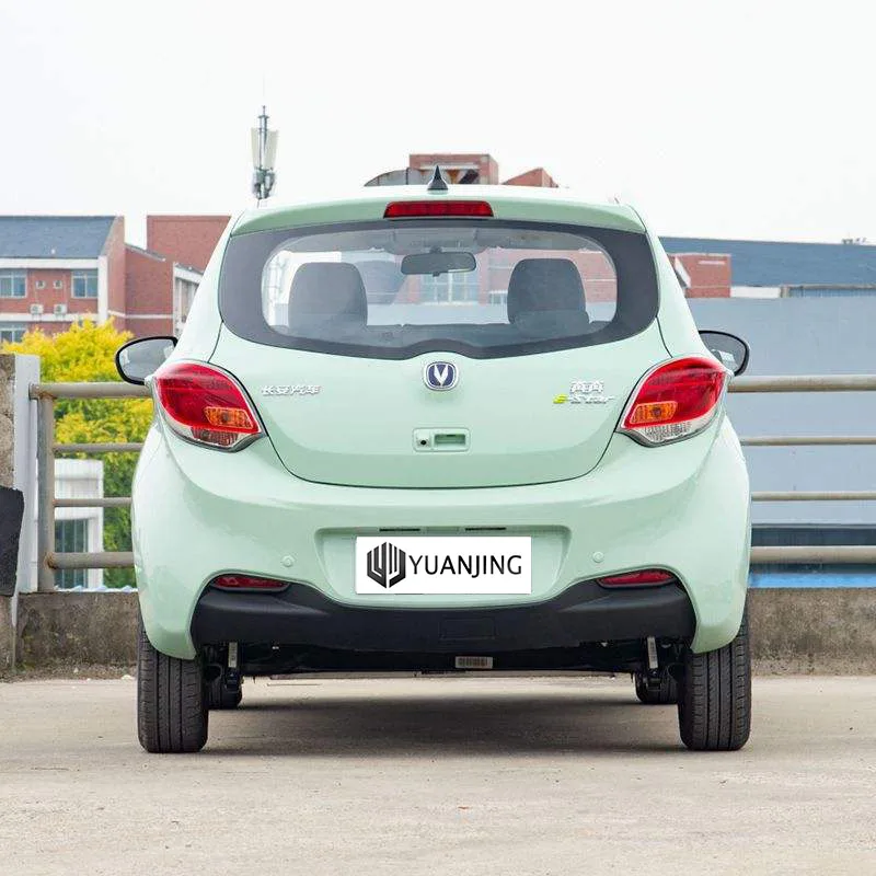 Changan E Star Parts ChangAn BenBen Estar for Sale Deposit