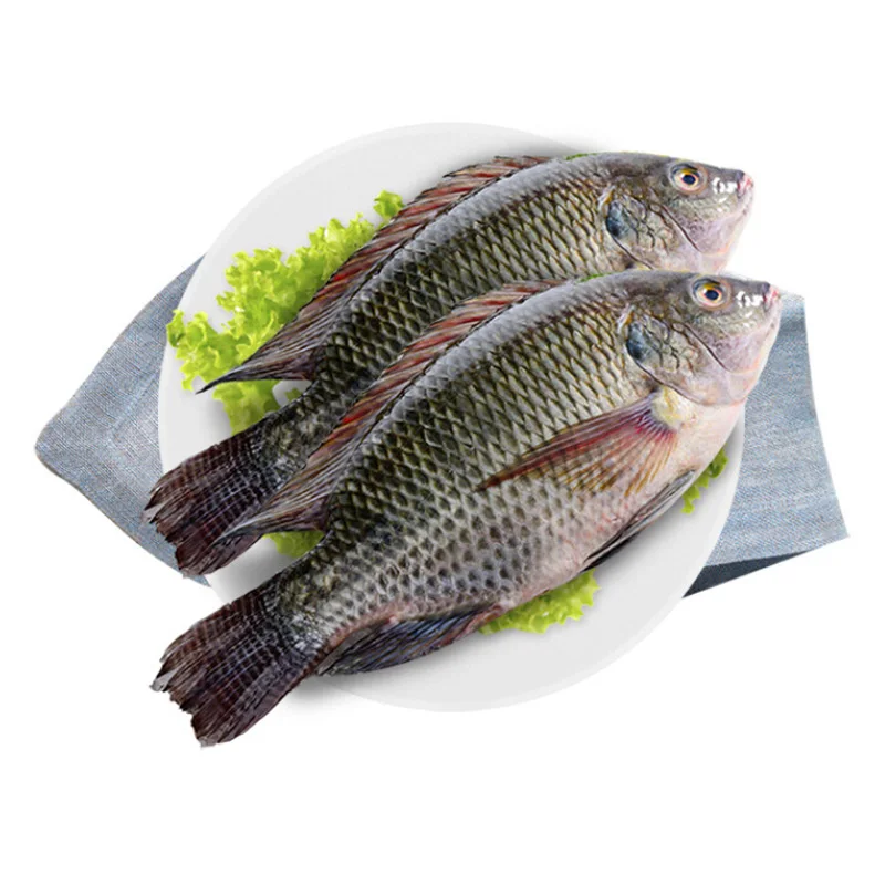Замороженная морепродукты черная Тилапия рыба и замороженные продукты экспортер замороженная цельная рыба Тилапия более низкие цены