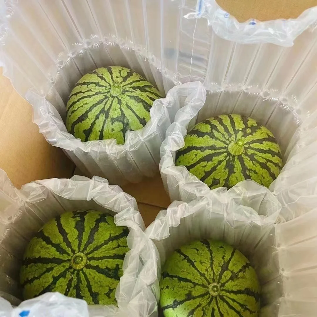 life hacks moving supplies inflatable air cylinder column bag for perfume bottle packaging