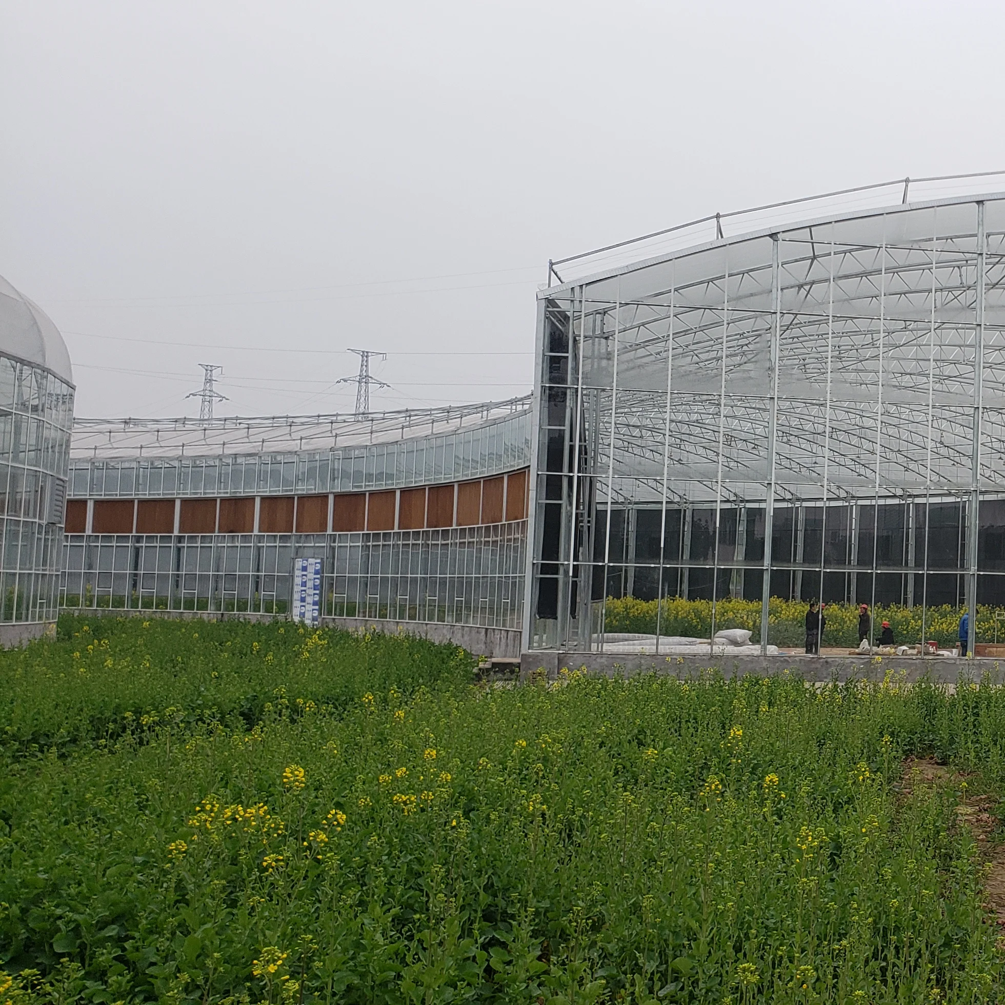 Spherical greenhouse, high-end customization