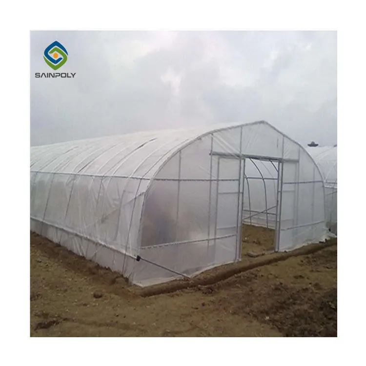 Galvanized steel frame luxury geodesic dome tunnel greenhouse greenhouse manufacturers used for sale