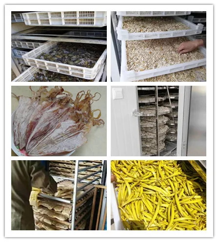 Industrial Hot Air Dryer Food Dehydrator Machine For Fruit And Vegetable Meat Fish