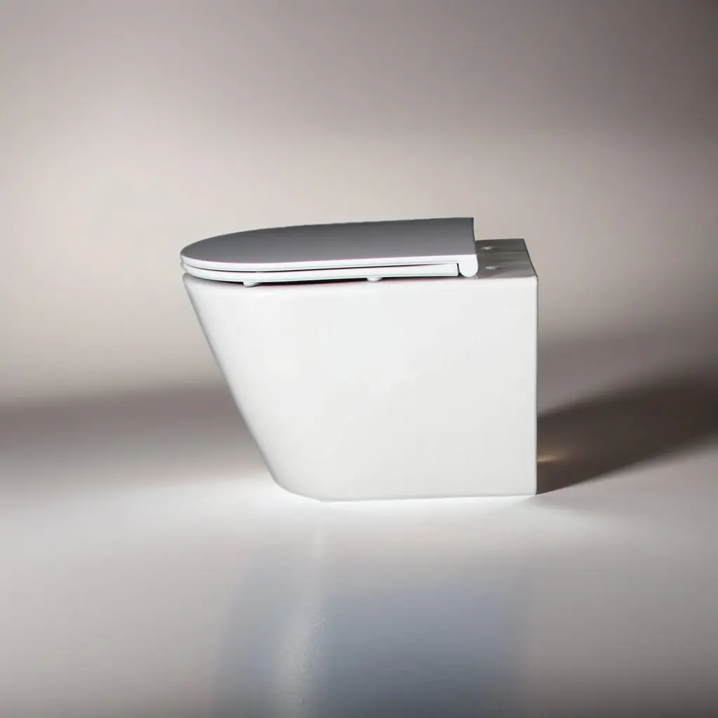 Water Closet Dual Flush Bathroom WC Wall Mounted Wall Hung Ceramic Toilets