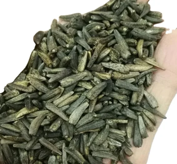 1kg natural high quality Saussurea costus seeds for cultivation