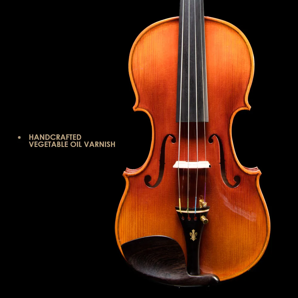 CHRISTINA V05C 4/4 Professional Spruce Violin with Maple Side Gift String Bow Included