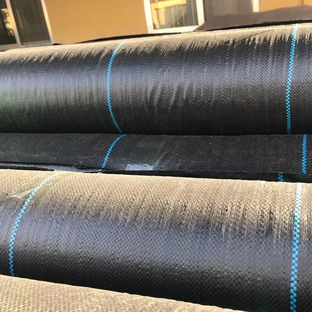 New Product Fabric Rolls Weed Control Agriculture woven weed control fabric polypropylene weed mat