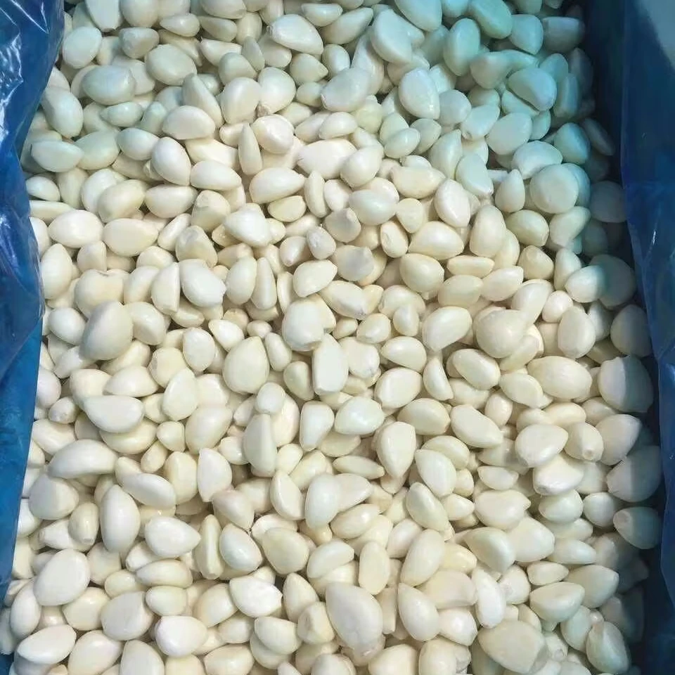 Wholesale Export Pricing Garlic Cloves Peeled from top Grade Frozen Garlic Cloves Organic Healthy Natural Freezing Freeze