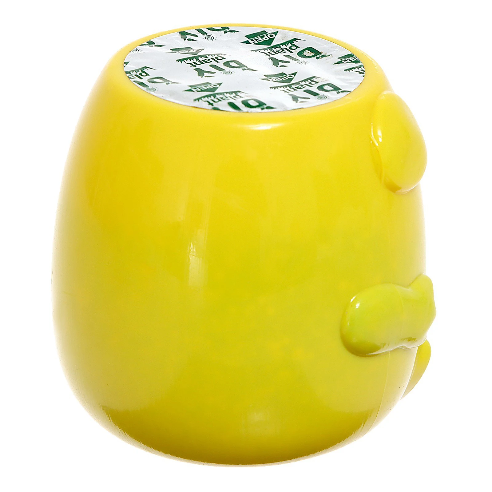 Первый эко-набор для детей набор эко-экспериментов выращивания травы Самая продаваемая цена желтый котенок