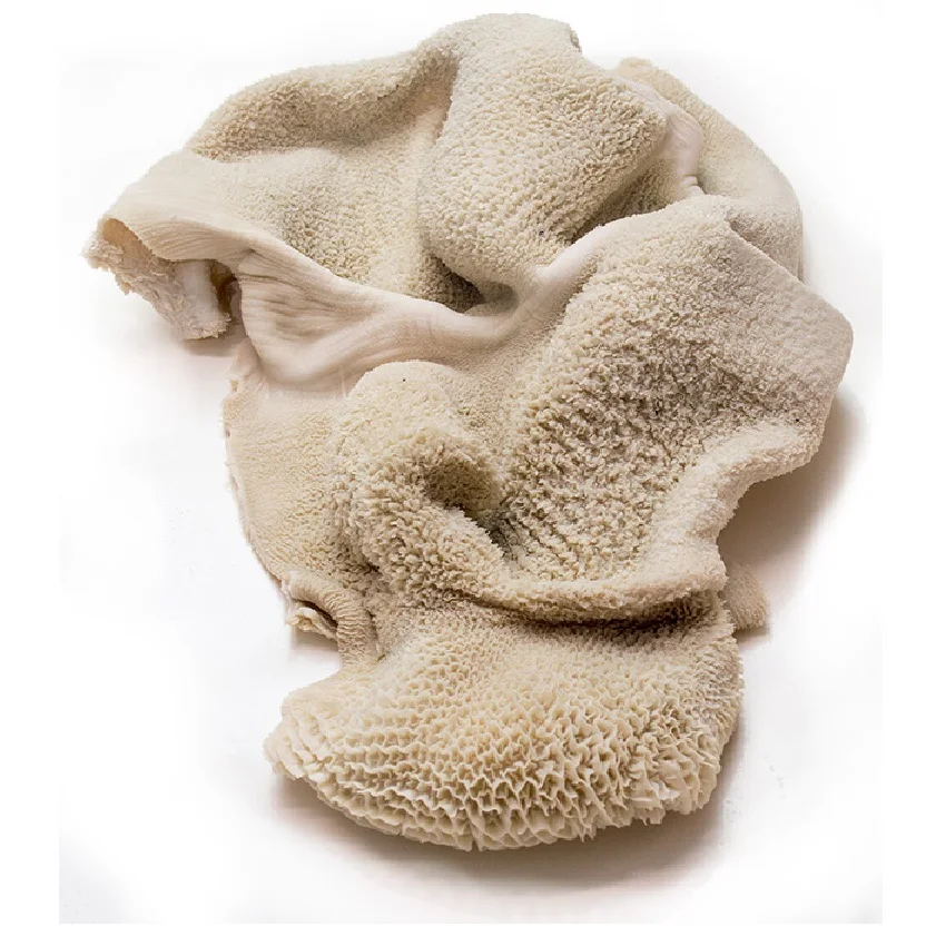 Beef tripe cleaned / cow stomach cleaned / beef Omasum Salted Beef Omasum Organic Halal Cow tripe
