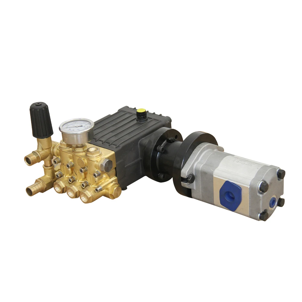 High Pressure Direct Drive Plunger Car Washer Pump With Pressure Switch Price