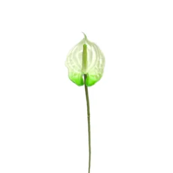 Real Touch Soft Pvc Eco-fashion Anthurium Artificial Flower Manufacturer