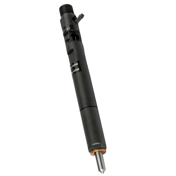 Fuel Injector EJBR04401D A6650170221 for Ssangyong Kyron/Rexton/Rodius 2.7d D27DT,Stavic Euro 4 Engine