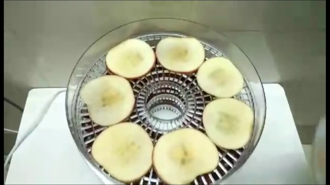 food drying spin-drying dried fruit machine fruit tea dehydrator food air dryer electrical 110V Fruit vegetable dryer