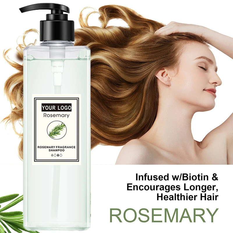 Own brand rosemary moisturizing shampoo long-lasting fragrance mint anti-dandruff anti-itch refreshing oil-control shampoo